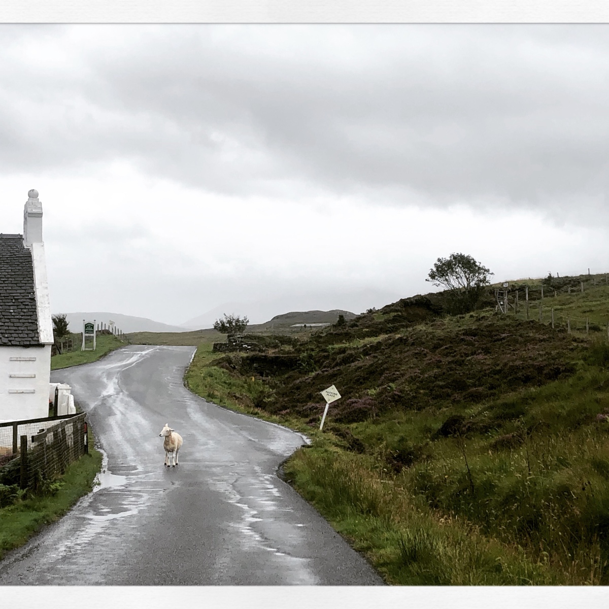 Dag 19 – regen op Isle of Skye